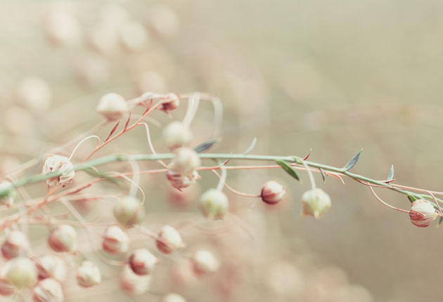 Ada & Ina Vorlaufzeit Ada & Ina Vorlaufzeit