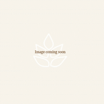 Wool Throws Throw Lambswool